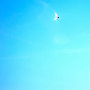 Besoin de vous (Explicit)