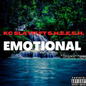 Emotional (feat. S.H.E.E.S.H.) [Explicit]