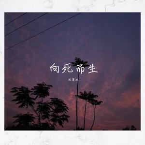 勇气 (翻自 棉子)