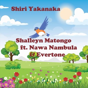 Shiri Yakanaka (feat. Evertone & Nawa Nambula)