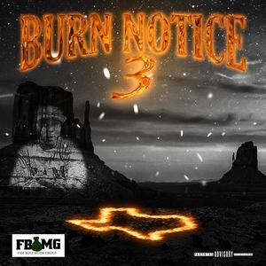 Burn Notice 3 (Deluxe) [Explicit]