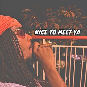 Nice To Meet Ya (Explicit)