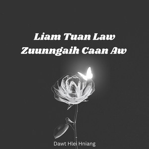 Liam Tuan Law Zuunngaih Caan Aw