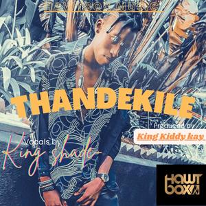 THANDEKILE (feat. King shade & King Mel)