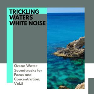 Trickling Waters White Noise - Ocean Water Soundtracks for Focus and Concentration, Vol.5