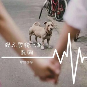 情人节街上的一只狗