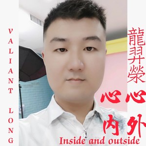 心内心外封面