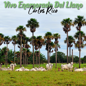 Vivo Enamorado del Llano