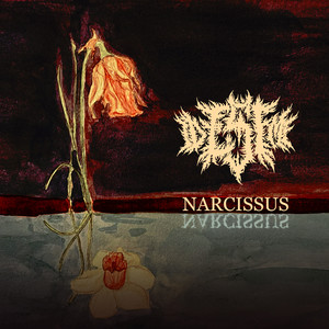 Narcissus (Explicit)