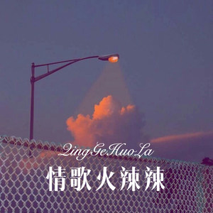 给还没有遇见的你 (Remix)封面