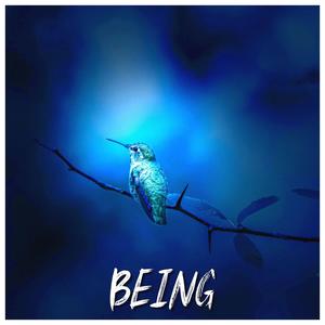 Being (VIP Edit)