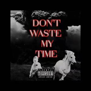 DON'T WASTE MY TIME