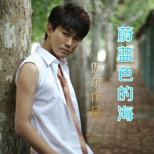 易乡情愿 (古筝版)