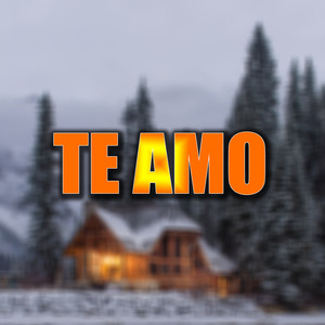 Te Amo