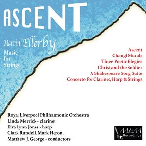 Concerto for Clarinet, Harp and Strings: II. Songscape