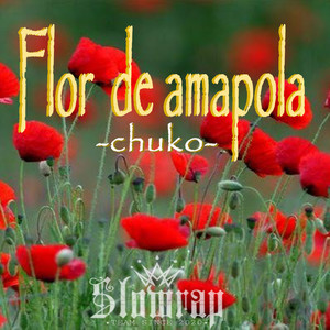 Flor de amapola
