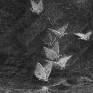 once again (Explicit)