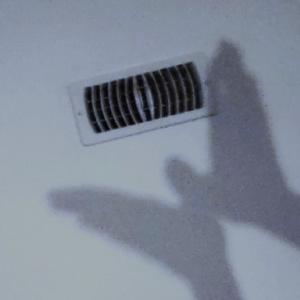 Better Now (feat. Naosu)