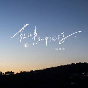 阿美呀 - 敬往事杯中沉浮（我敬苍天酒一壶）