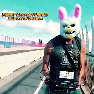 Funny Little Rabbit (Explicit)