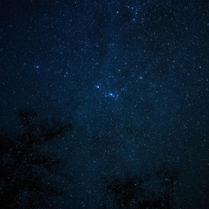 All Night Vibes (Explicit)