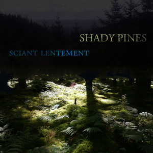 Shady Pines