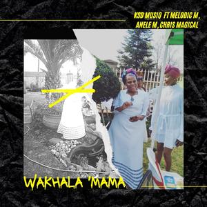 Wakhala 'MaMa (feat. Melodic M, Anele M & RAFMAN_RSA)