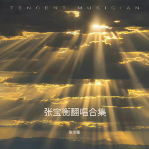 张宝衡 - 不要忘记我爱你