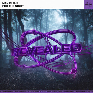 For The Night (Extended Mix)