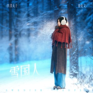 雪国人封面
