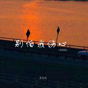 李发发 - 别怕我伤心 (深情版)