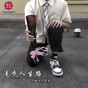 漫步人生路 (弹鼓版)