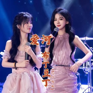 爱河 (DJ小拾版)封面