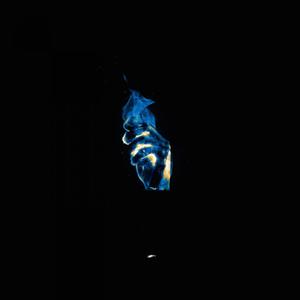 Butterfly Effect (Original Mix)