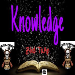 Knowledge (Explicit)