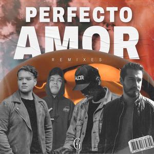 Perfecto Amor (feat. David Díaz) (BLSSNGS Remix)