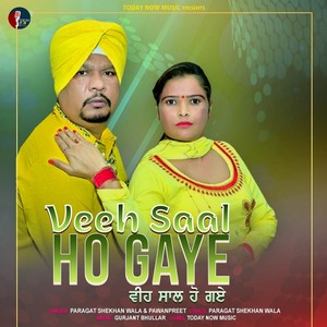 Veeh Saal Ho Gaye (Original)