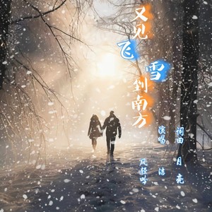 又见飞雪到南方