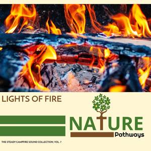 Walking in Rainforest