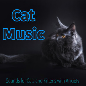 Cat Music - Sounds for Cats and Kittens with Anxiety