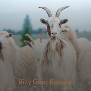 Billy Goat Boogie