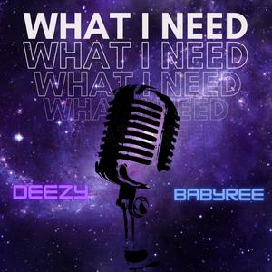 What I Need (Explicit)