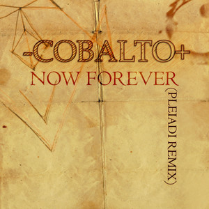 Now Forever (Pleiadi Remix)