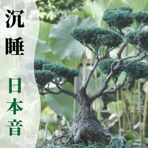 沉睡日本音・宁静，和谐，睡眠音乐，深度睡眠，冥想，放松