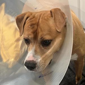 ih8 when grls die (slow) (Explicit)