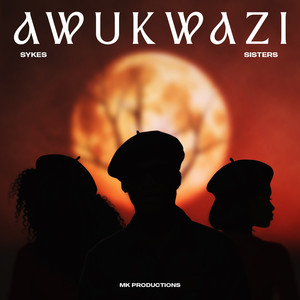 Awukwazi (feat. Dlala Thukzin)