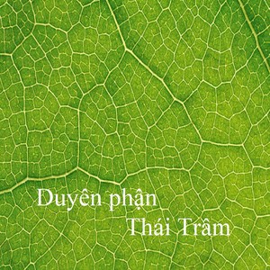 Duyên phận