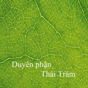 Duyên phận 2