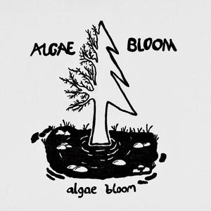 Algae Bloom