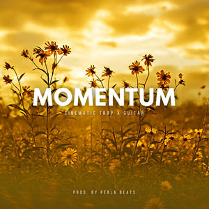 Momentum (Instrumental)